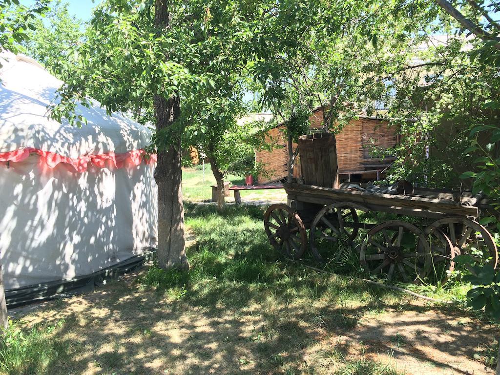 Hotel Arista Yurt Camp Karakol Habitación foto